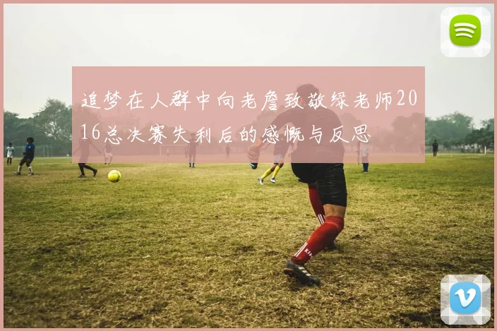 追梦在人群中向老詹致敬绿老师2016总决赛失利后的感慨与反思
